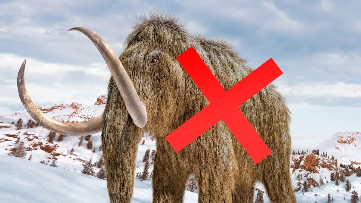 Un mistero fossile in Alaska: mammut o balena?